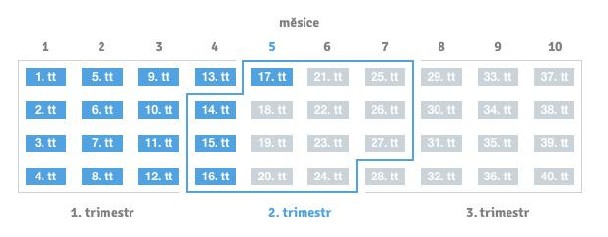 12t
